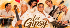 Les Gipsy, père & fils - Animation musicale et festive