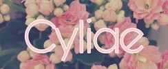 Cyliae - Cours de couture à domicile