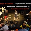 Idée cadeau Noël offrez un stage de théâtre à Paris !