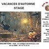 contes et décos d'halloween